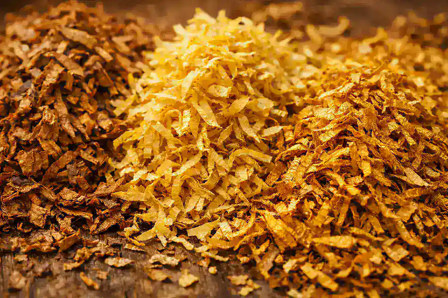 Variedades de tabaco Virginia